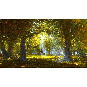 Autumn Forest Animated 3D